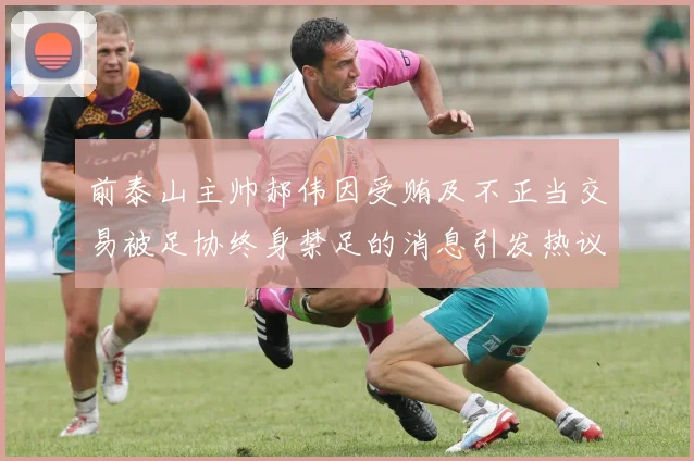 前泰山主帅郝伟因受贿及不正当交易被足协终身禁足的消息引发热议