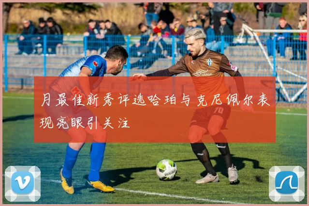 月最佳新秀评选哈珀与克尼佩尔表现亮眼引关注