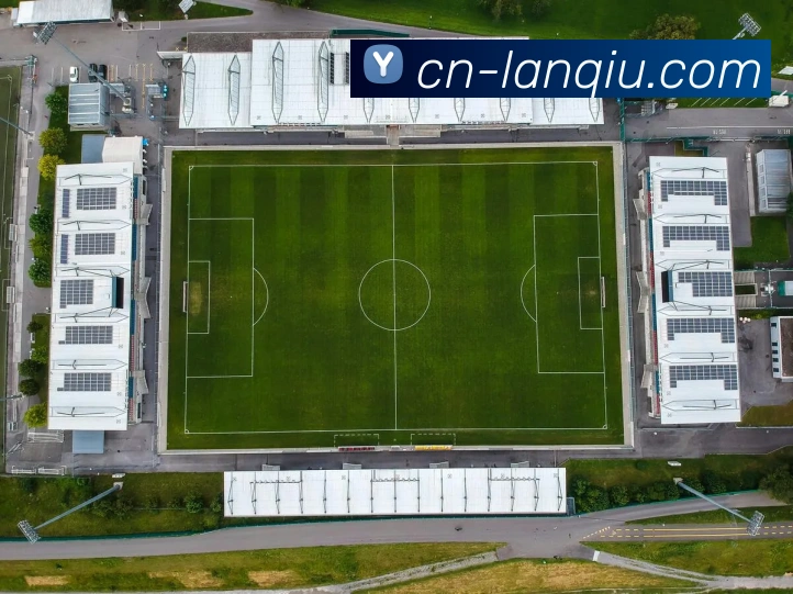 篮球赌注平台生态图